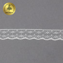 Кружево-трикотаж KRUZHEVO арт.TBY 1663 шир.20мм цв.02 молочный, уп.27,4м